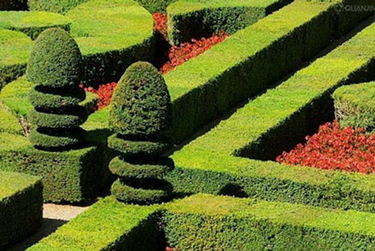 首页| J9集团国际站官方网站