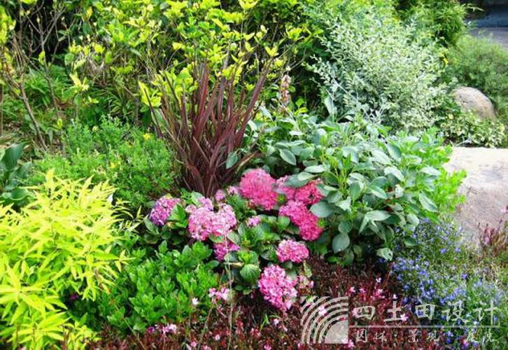 首页| J9集团国际站官方网站