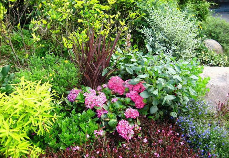 首页| J9集团国际站官方网站