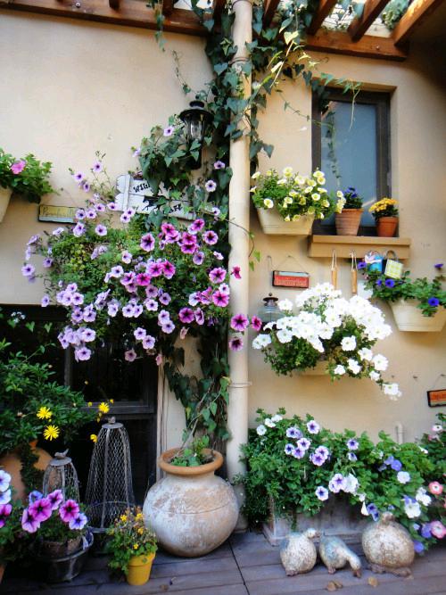 首页| J9集团国际站官方网站